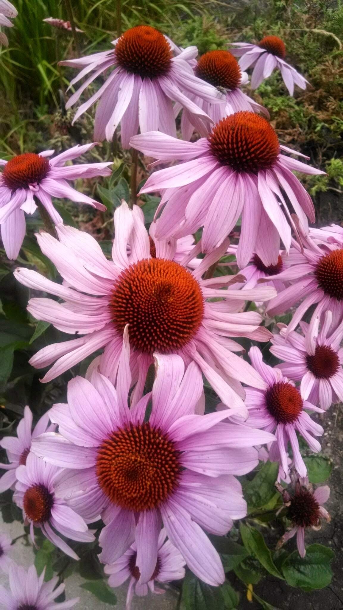 Recycled polyester fabric11