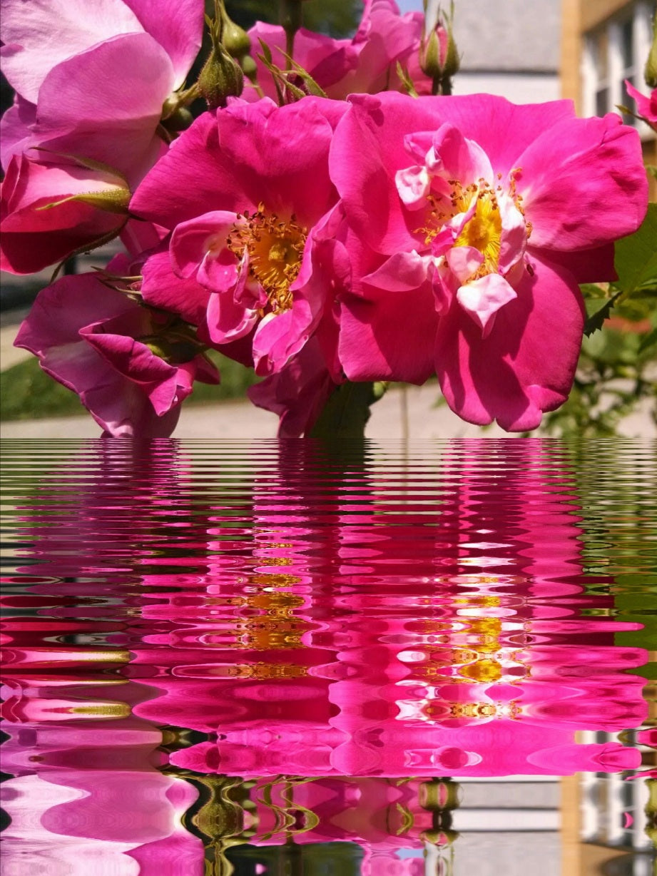 Sample Greeting card