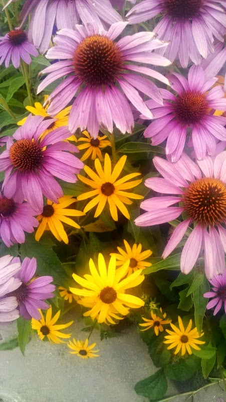 Recycled polyester fabric17